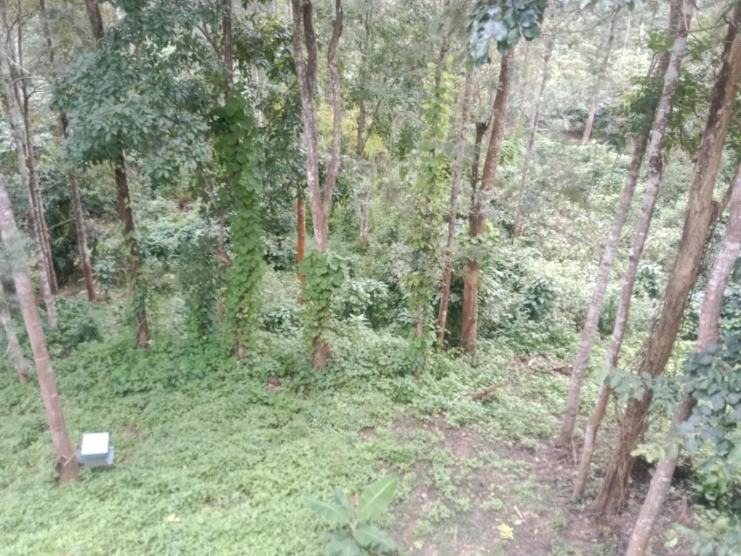 Elephant Path Coorg 3Bhk Villa Suntikoppa ภายนอก รูปภาพ
